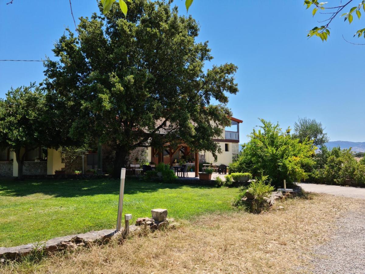 Agriturismo Sa Pigalva Tula Exterior foto