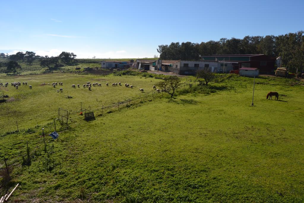 Agriturismo Sa Pigalva Tula Exterior foto