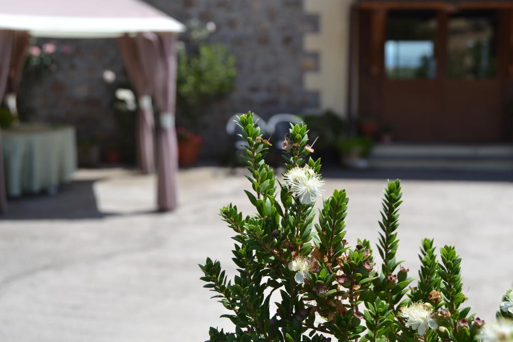Agriturismo Sa Pigalva Tula Exterior foto